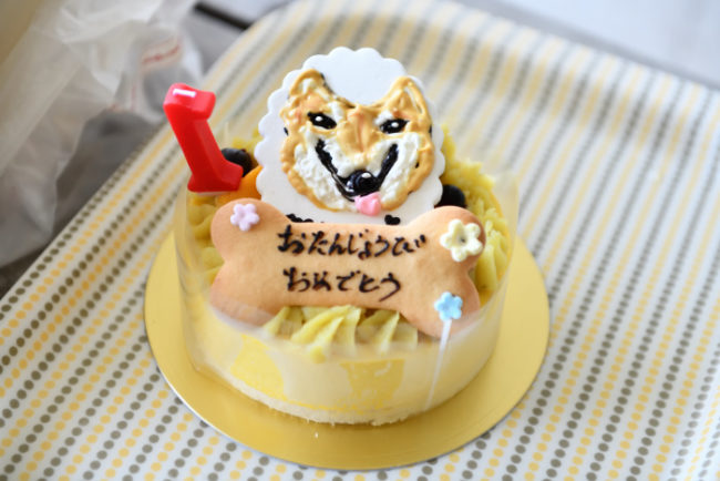 犬用お誕生日ケーキ