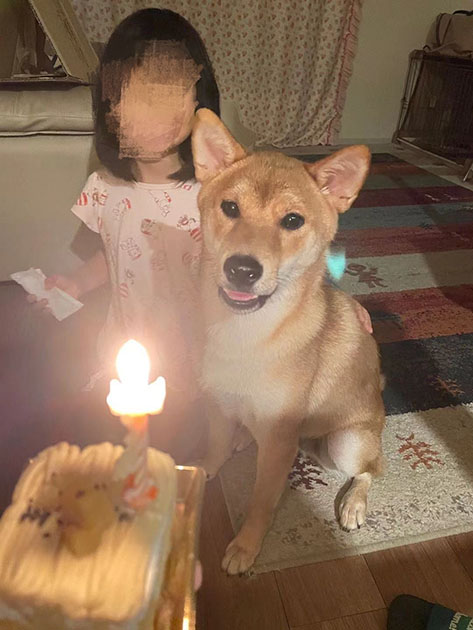 赤柴みなと君1歳のお誕生日の写真