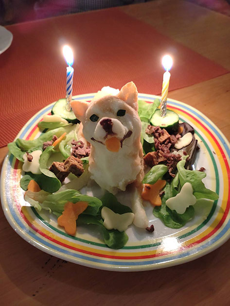 柴犬の誕生日ケーキ
