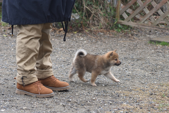 そらちゃんと飼い主様