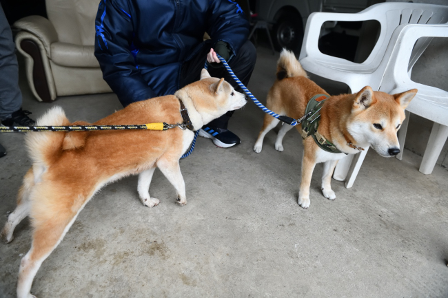 お母さんの美里とレム君の再会