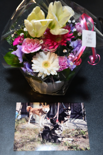 亡くなった綾姫、丈二と頂いたお花の写真