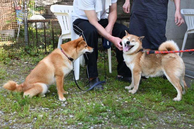 お母さんの春ちゃんとふうちゃんの再会