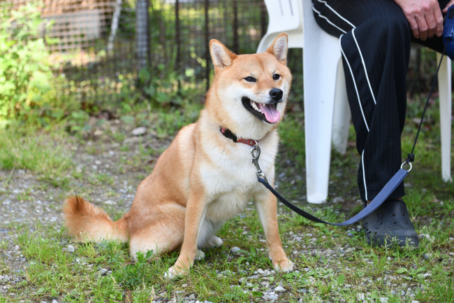 笑顔のふうちゃん