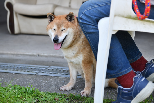 娘と会えて嬉しい母親の春ちゃん