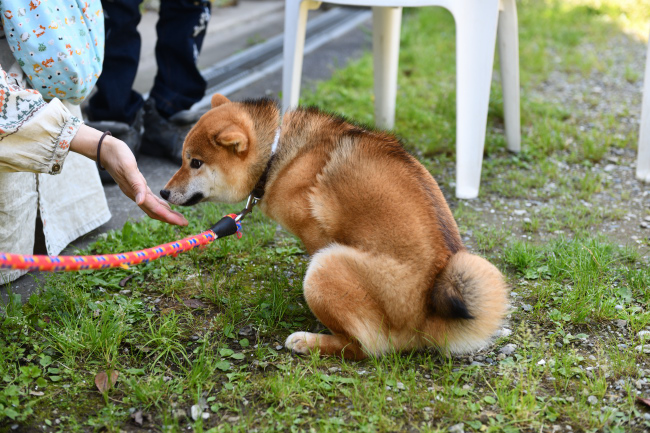 おやつをもらう凪ちゃん