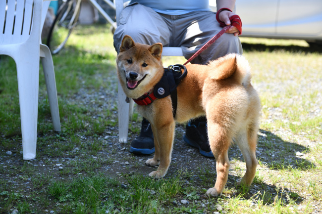 人見知りを発揮した秀くん