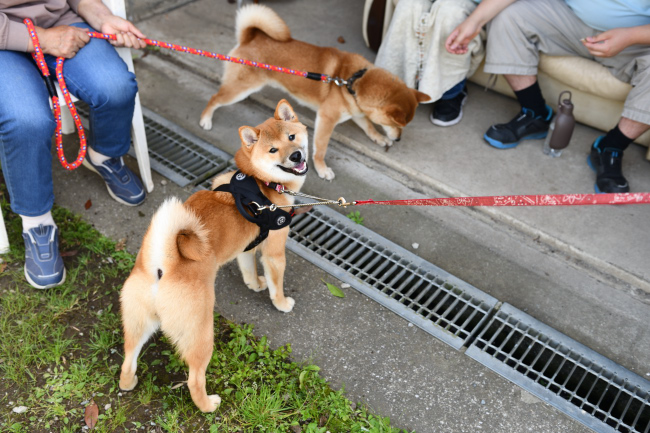 お父さんの態度にニコニコ顔の秀くん