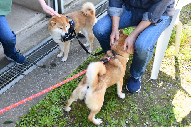 お母さんの春ちゃんと娘の柚子ちゃんの再会