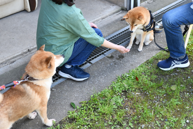 お母さんの春ちゃんと娘の柚子ちゃんの再会