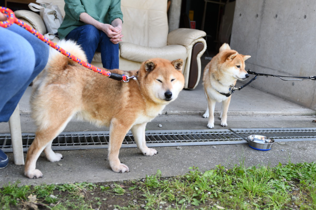 春ちゃんと柚子ちゃんの表情