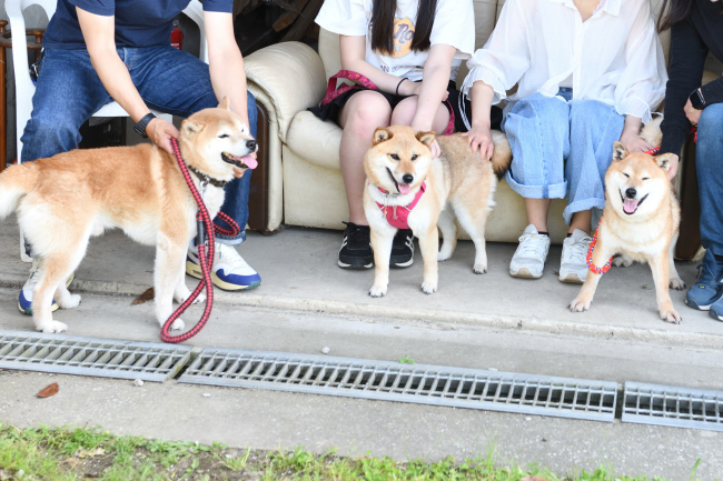 お父さんお母さんと集合写真