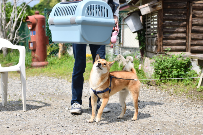 蒼君の使っていた子犬用ケージ