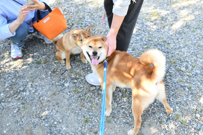 お父さんの菊次郎くんと娘のそらちゃん