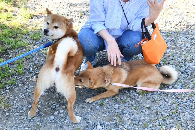 お父さんの菊次郎くんと娘のそらちゃん