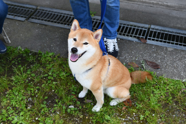 ポッケ君の写真