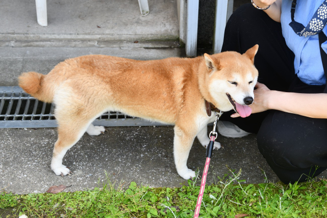 ポッケ君と会えて大変満足気なムギ
