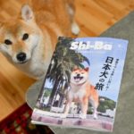 『Shi-Ba【シーバ】』夏号（Vol.132）と柴犬たまこちゃん