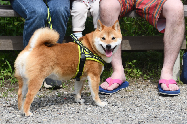 飼い主様と一緒に記念撮影