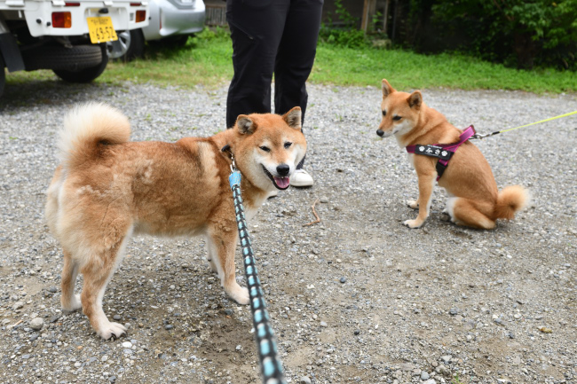 娘と会えて喜ぶ母親の春ちゃん