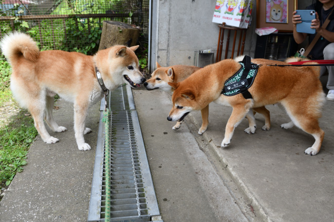 源太くんとカツ君の再会
