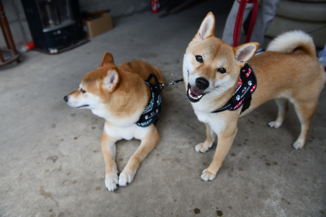 ベルちゃんにとって頼れるお兄ちゃんです