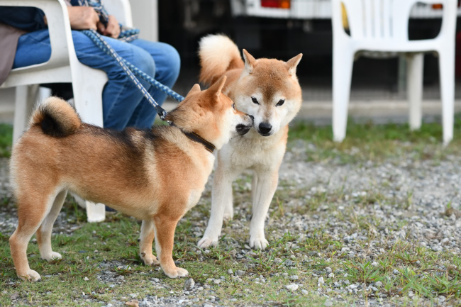 源太くんと凪ちゃん