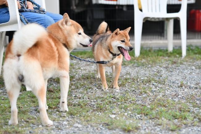 凪ちゃんと源太くん
