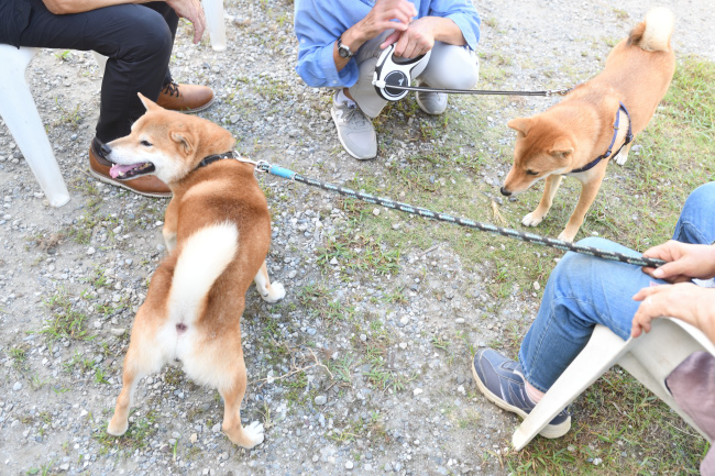 菊次郎くんと蒼くん