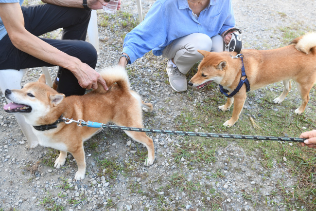 菊次郎くんと蒼くん