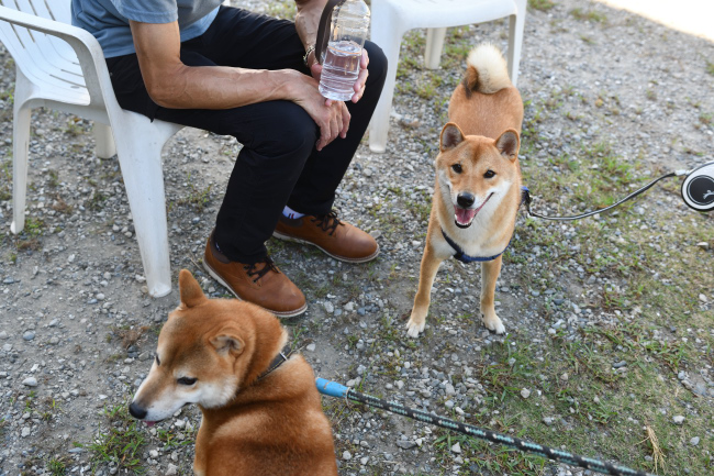 菊次郎くんと蒼くん
