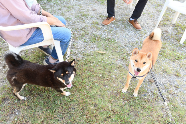 お母さんのマリモと蒼くんの再会