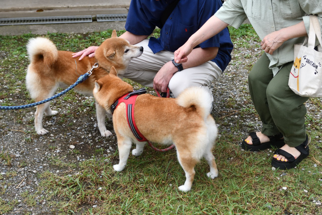 お父さんの源太くんとらんちゃん