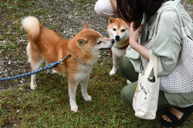 お父さんの源太くんとらんちゃん