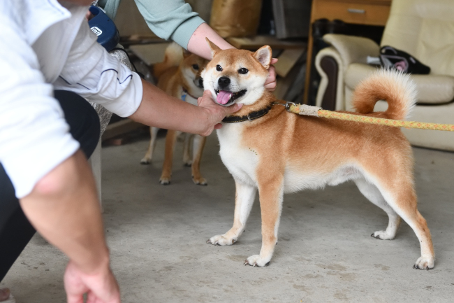 お父さんの菊次郎くん