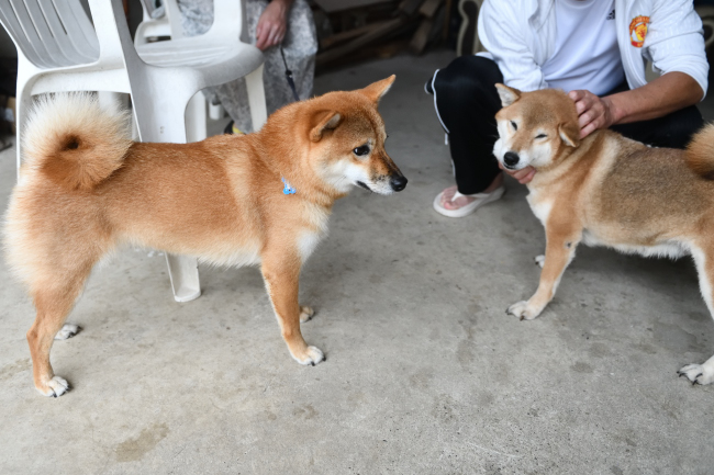 楓ちゃんと春ちゃん
