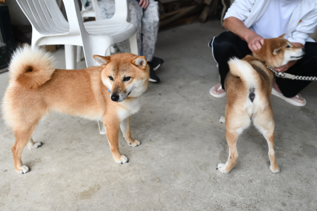 楓ちゃんと春ちゃん
