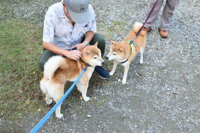 源太くんと赤丸ちゃん