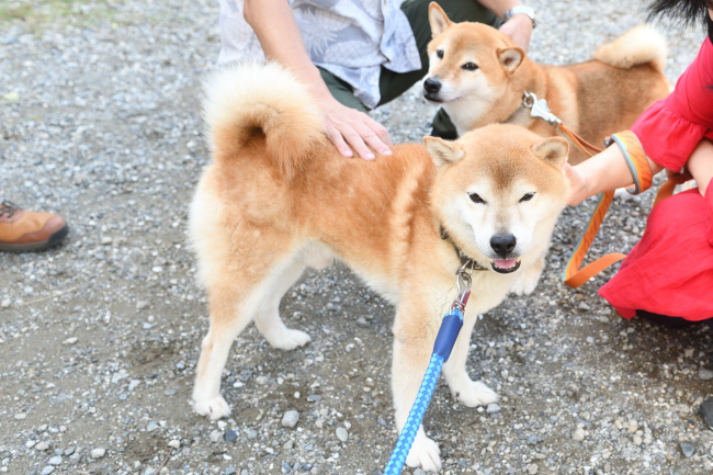 ご満悦の源太くん