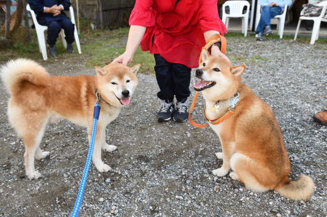 お父さんの源太くんと息子の琥太郎君