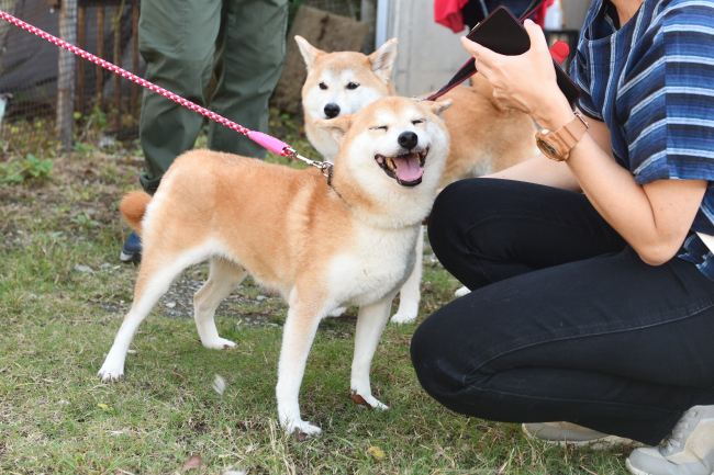 赤丸ちゃんとムギの再会？