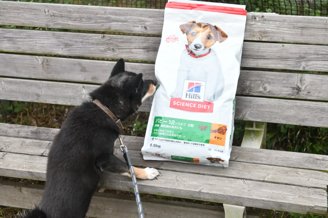 サイエンスダイエット子犬用