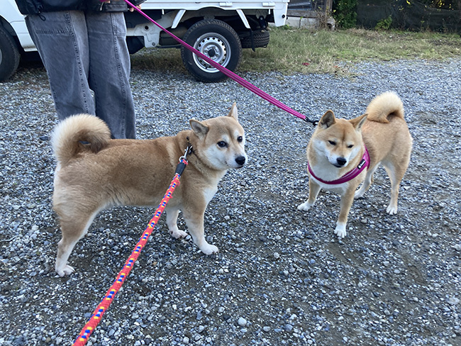 仲良し母娘の紅里・あおちゃん