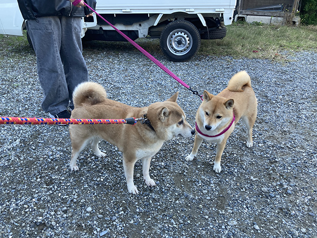 仲良し母娘の紅里・あおちゃん