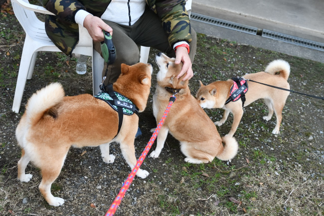 飼い主様に挨拶する紅里