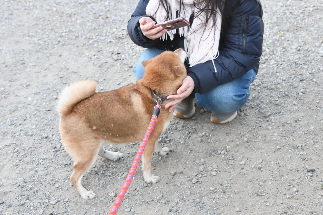 春ちゃんと飼い主様