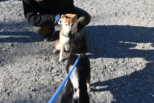 お父さんの二郎くんとレム君の再会