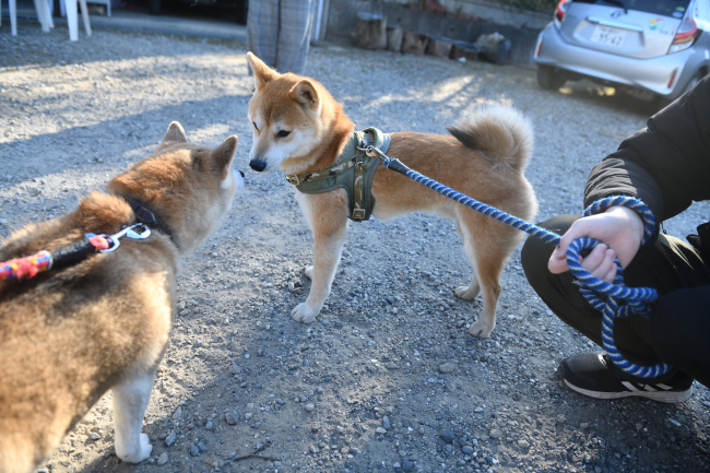 美鈴とレム君兄妹