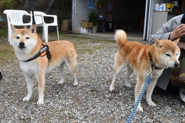 こてつ君と源太くん