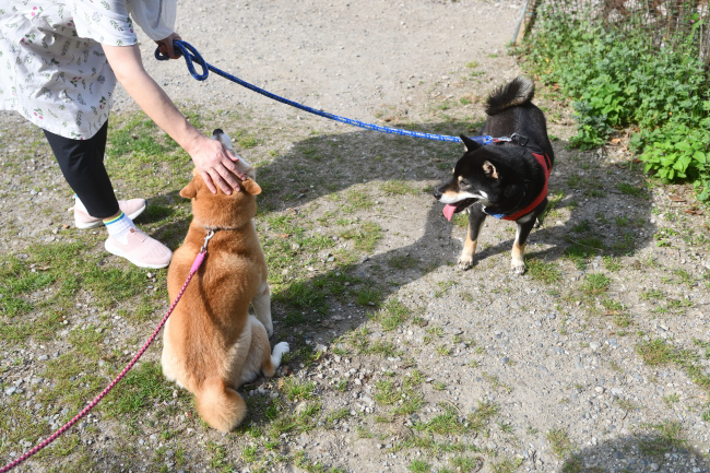 お母さんのムギと太郎くん